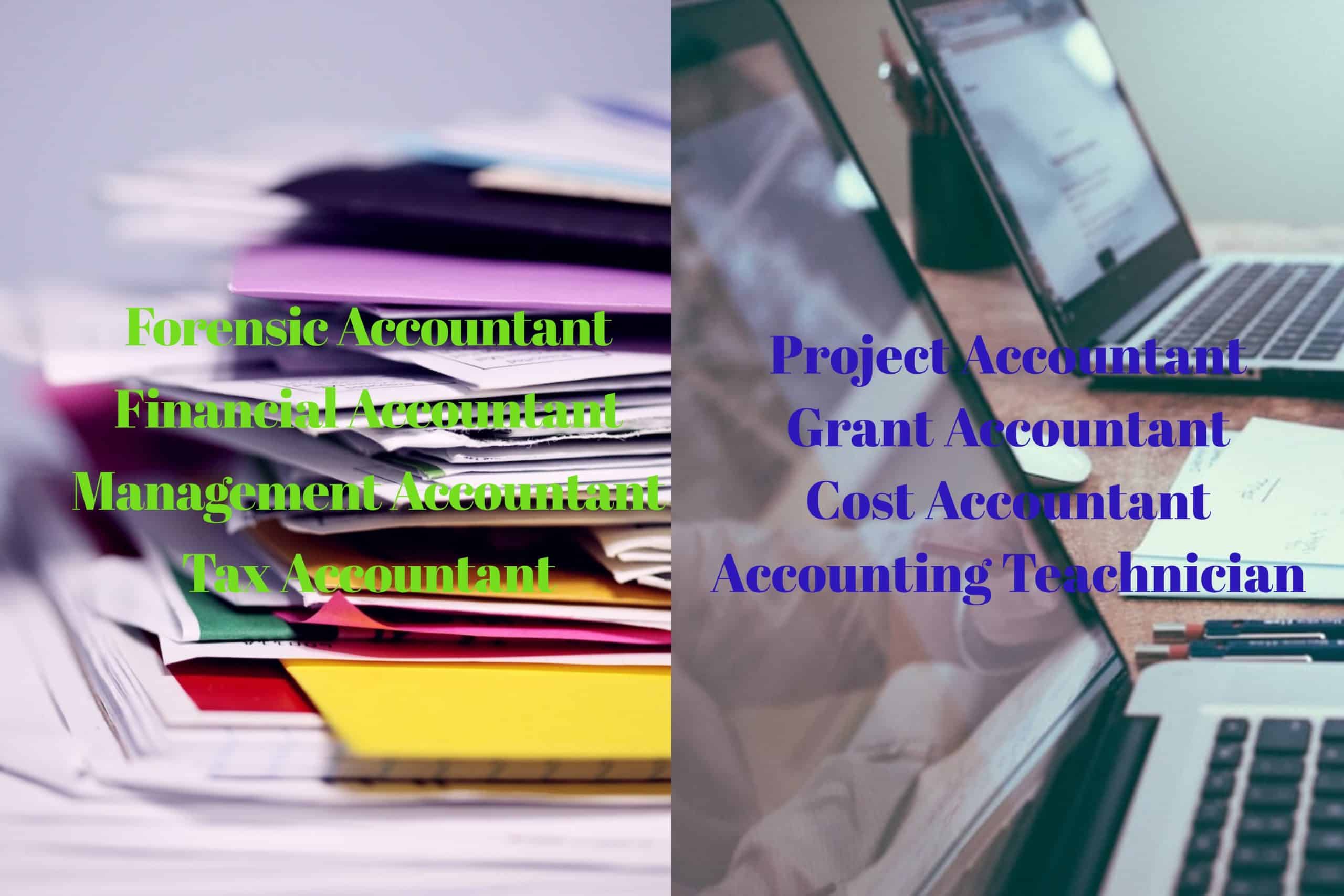 Types of accountants